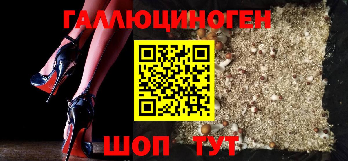 Галлюциногенные грибы GOLDEN TEACHER Гусь-Хрустальный