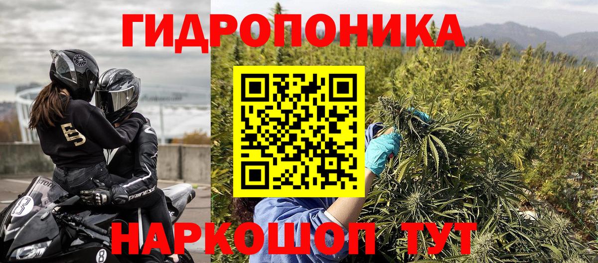 Каннабис план  Бошки Шишки марихуана  Вход с VPN  Гусь-Хрустальный 